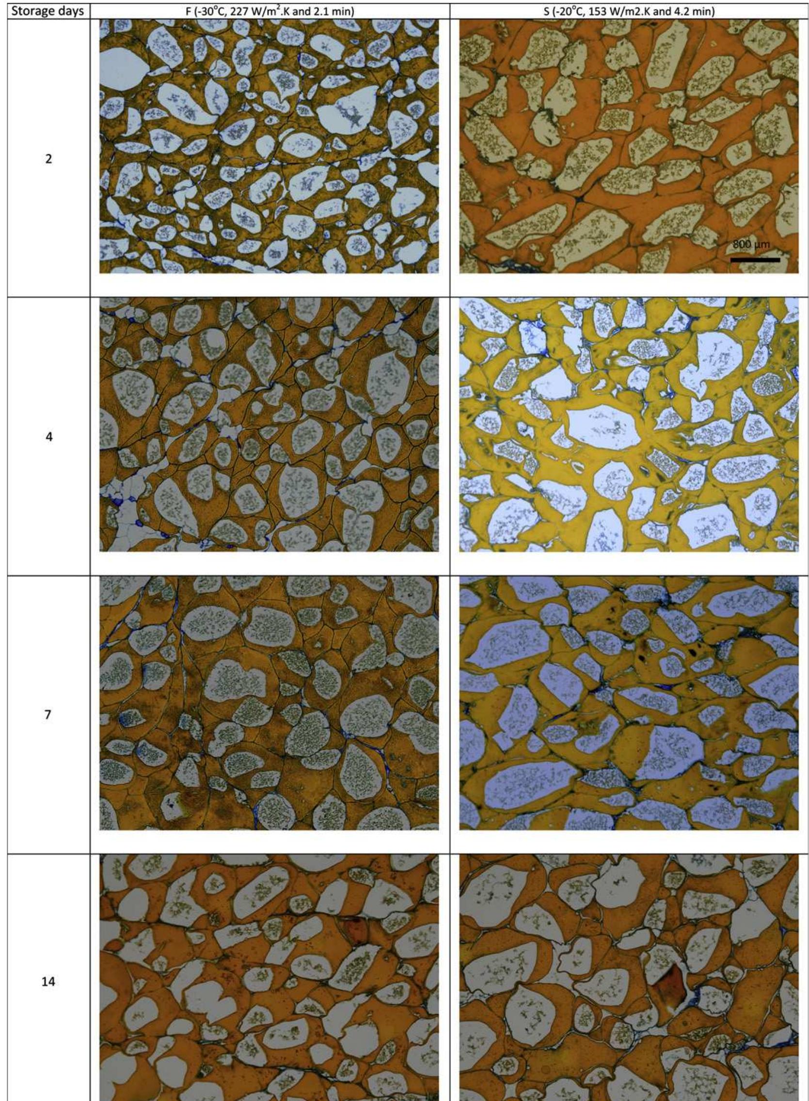 Post Rigor Salmon (PDF) Ice crystal development in pre-rigor Atlantic salmon fillets ...