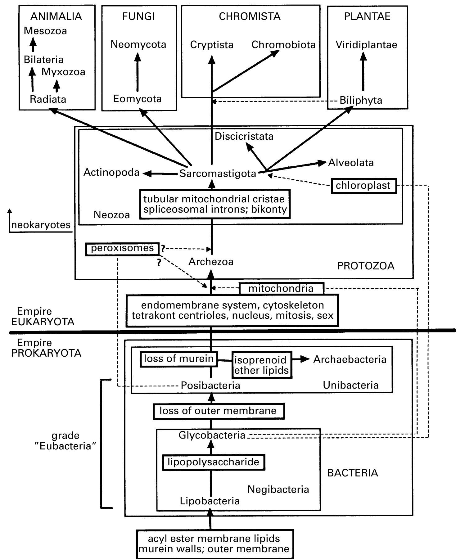 PDF) A revised six-kingdom system of life