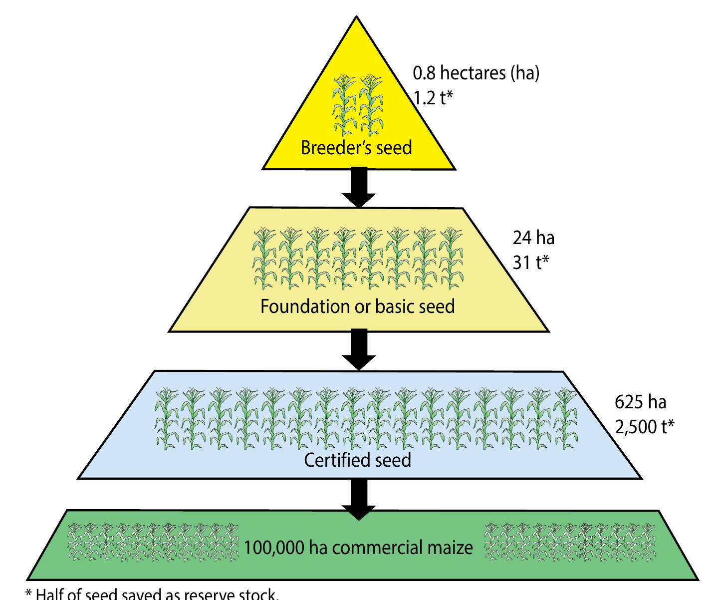 (PDF) Maize Hybrid Seed Production Manual