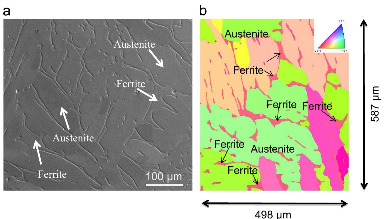 Figure 3 - from Mechanical characterization of