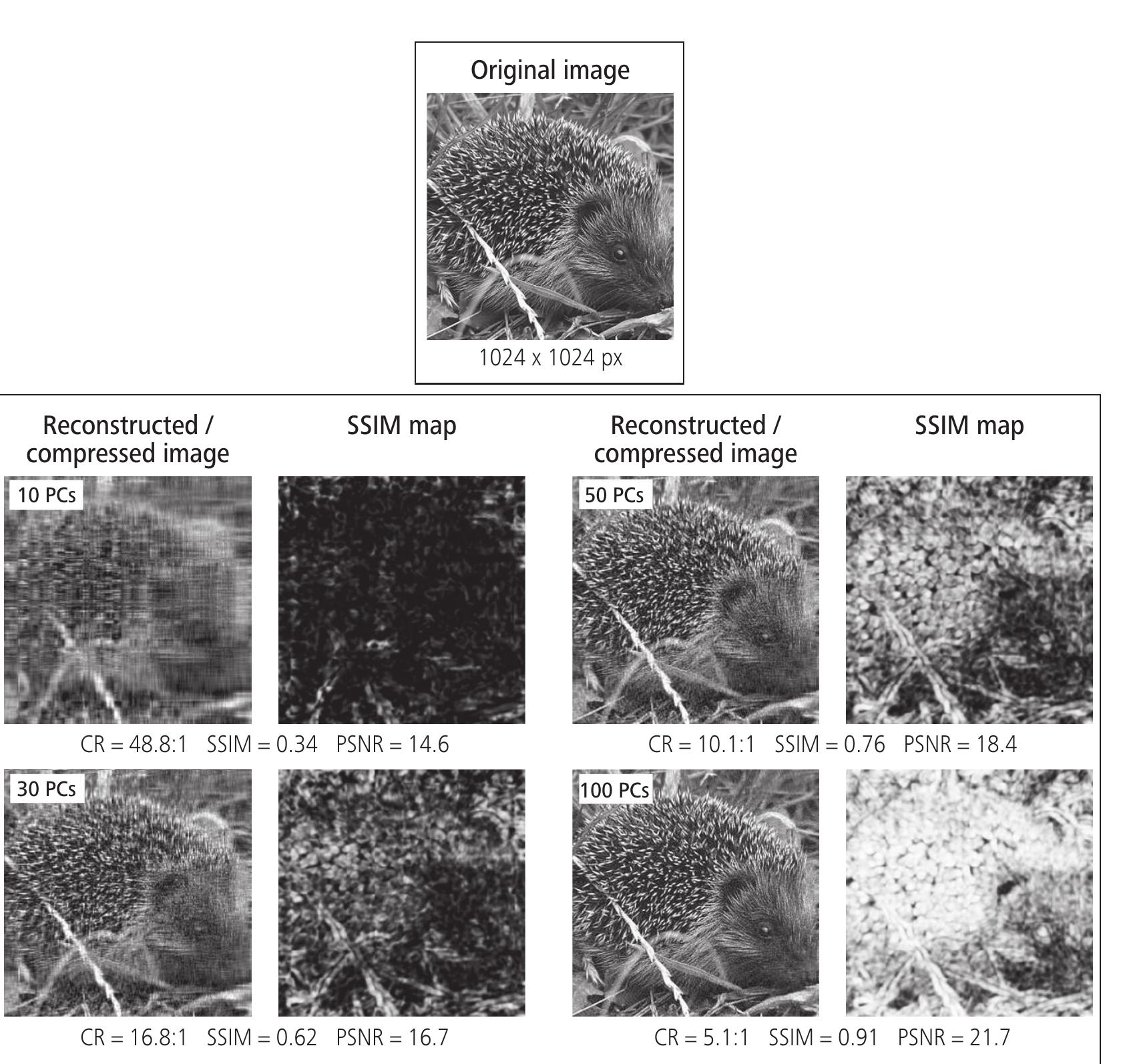 (PDF) Image compression and face recognition: two image processing ...
