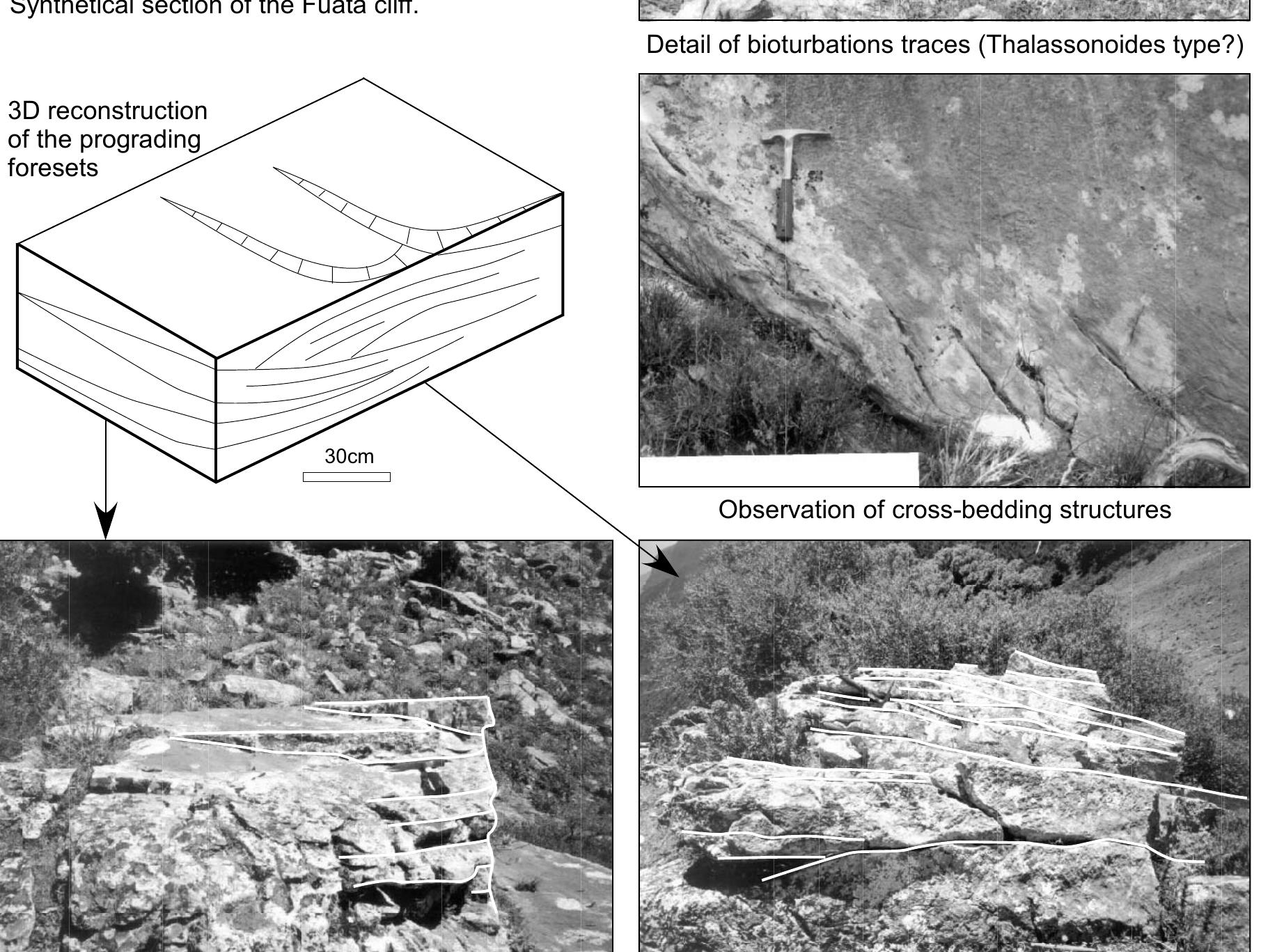 Prograding Sand Lateral view of prograding foresets transversal view of