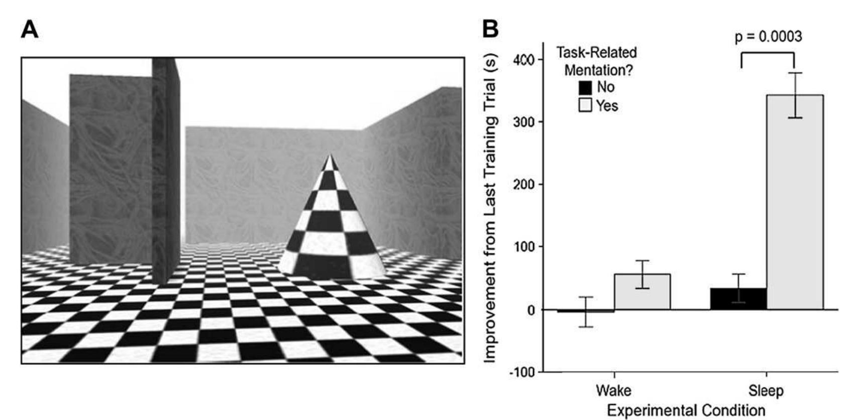 Spatial Learning Task (a, b) dreaming of a spatial learning task is associated