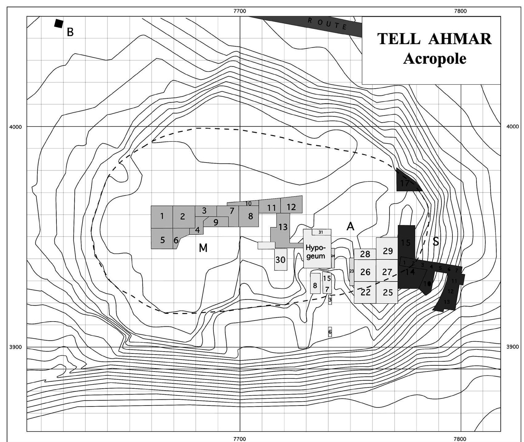 The tell ahmar acropolis, with indication of the excavation