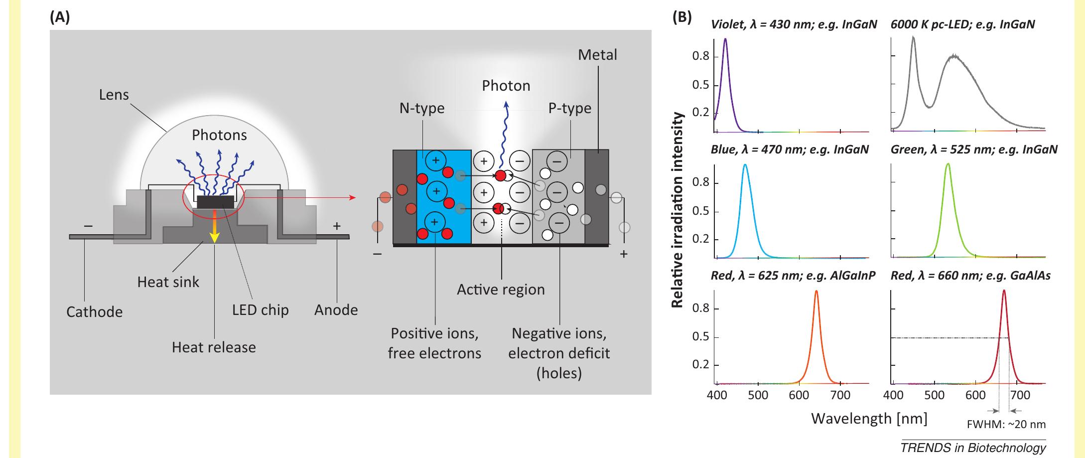 Led Photons (PDF) Light emitting diodes (LEDs) applied to microalgal production