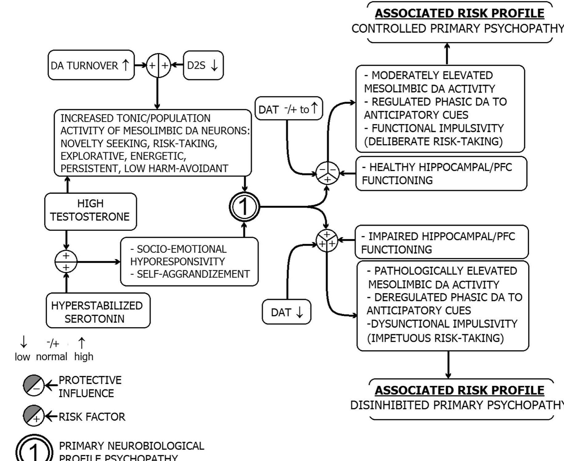 Hyperstability The different dopaminergic pathways and relevant structures.