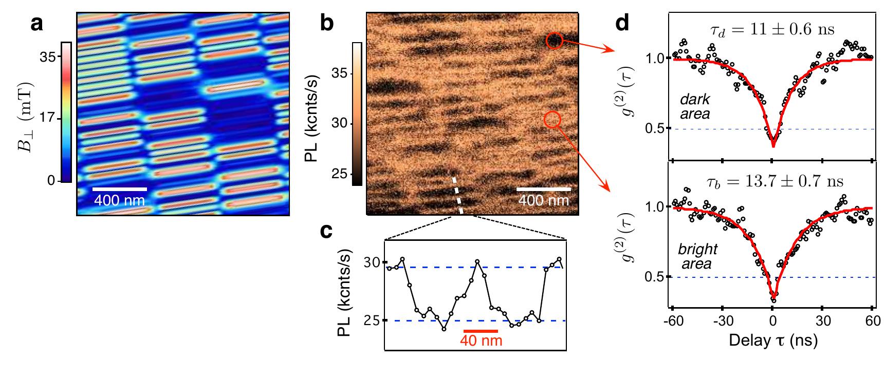 (PDF) Nanoscale magnetic field mapping with a single spin scanning ...