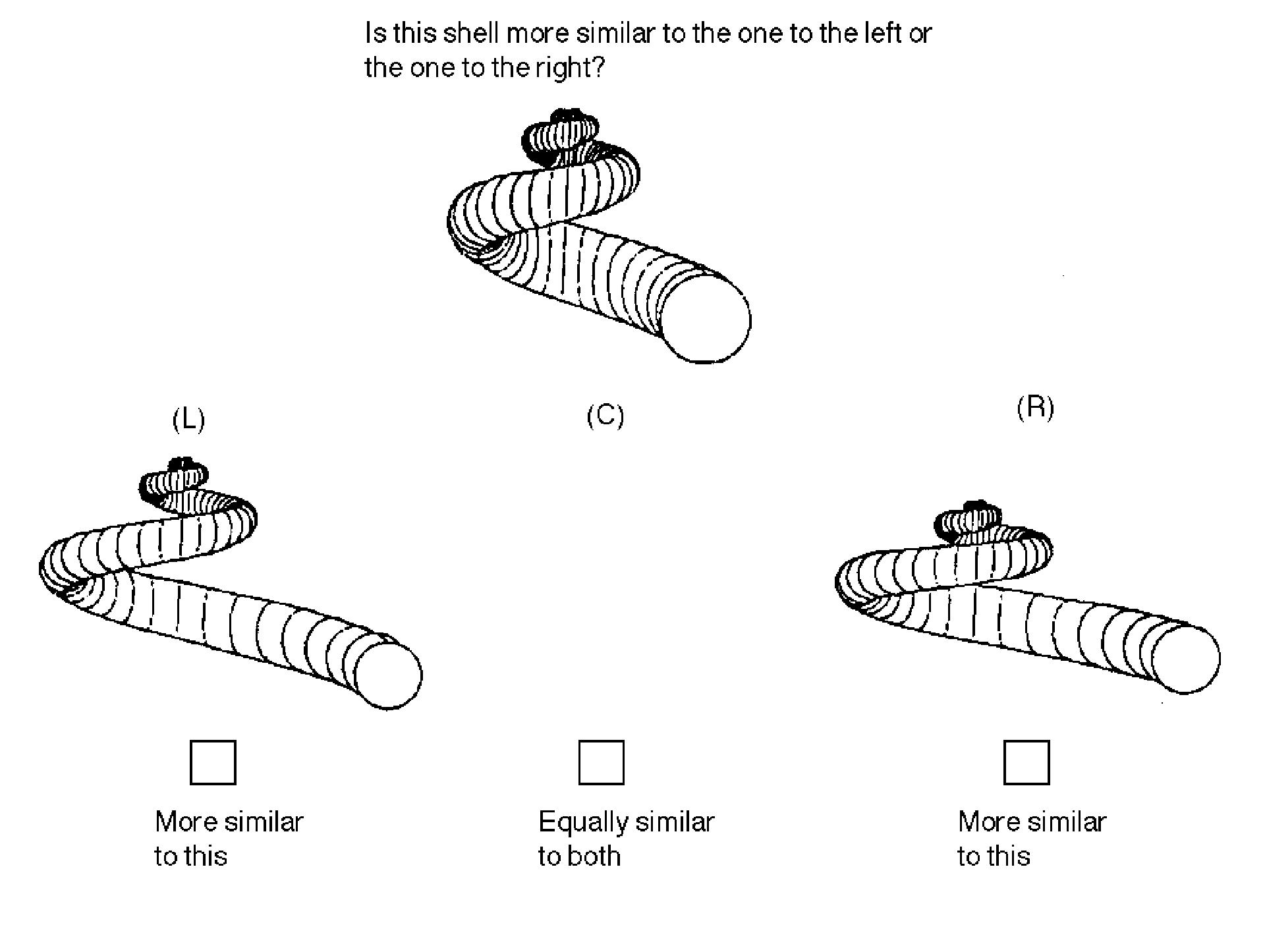 (PDF) CONCEPT FORMATION IN DIMENSIONAL SPACES