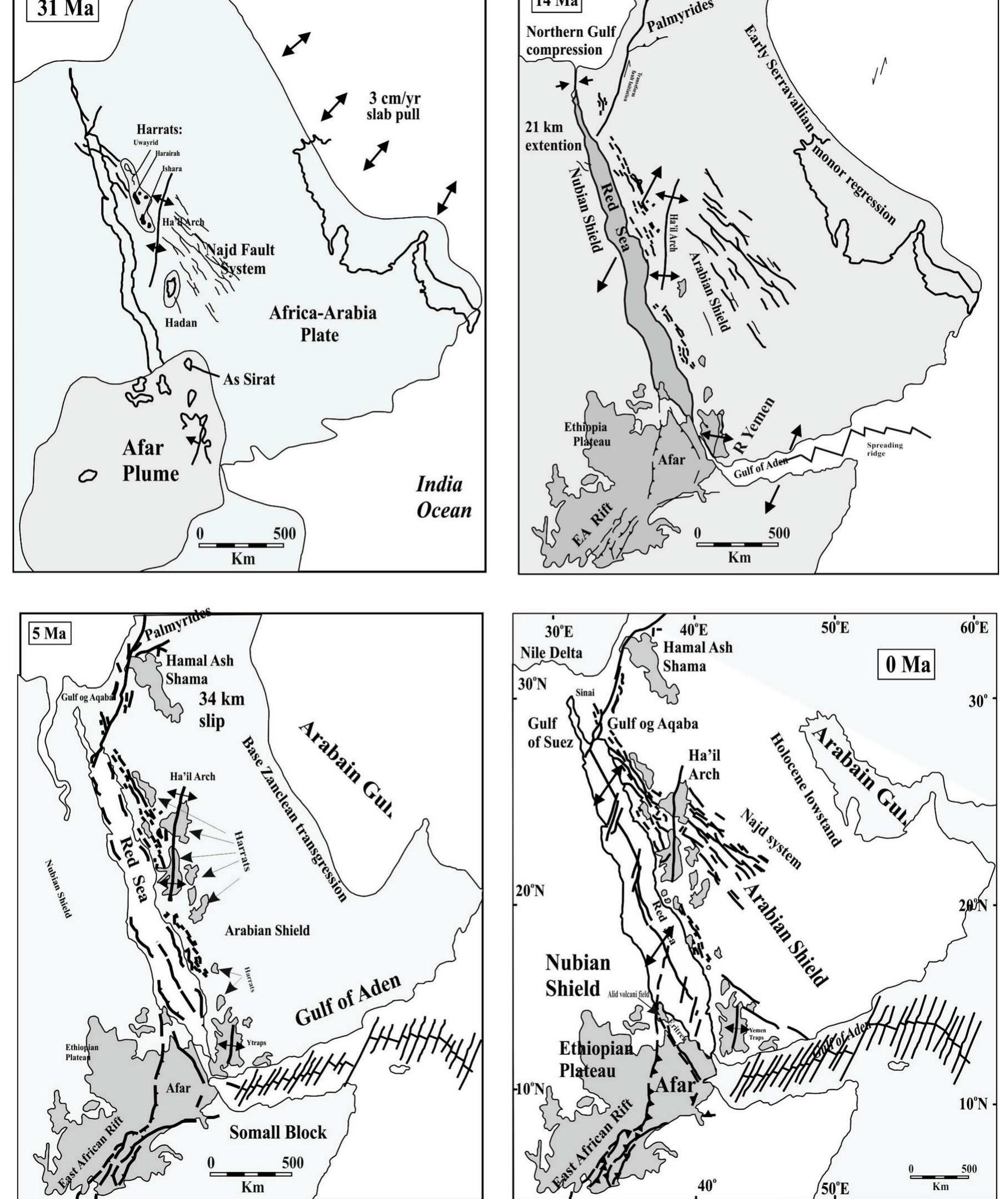 (PDF) Evolution of geothermal systems around the Red Sea