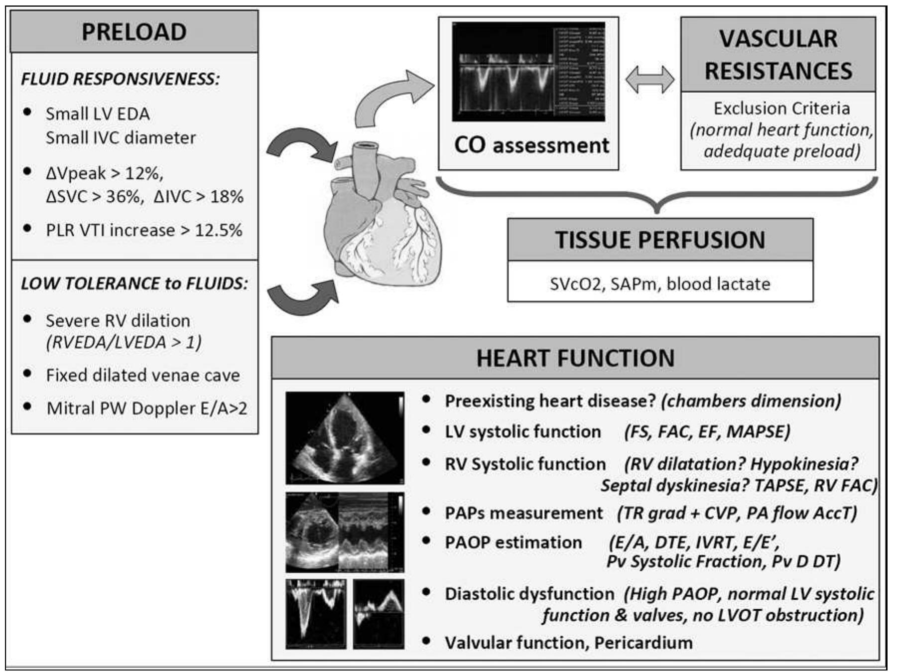 key elements of the comprehensive hemodynamic evaluation