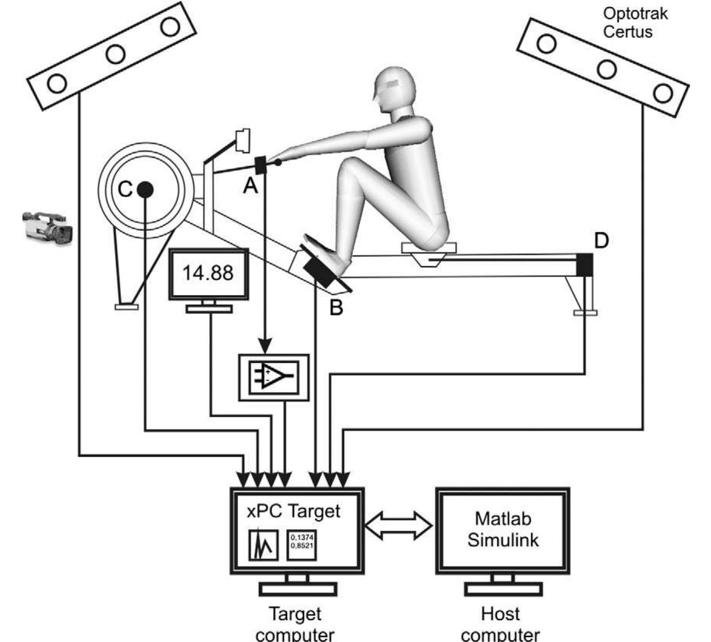 (PDF) The measurement setup for real-time biomechanical analysis of ...