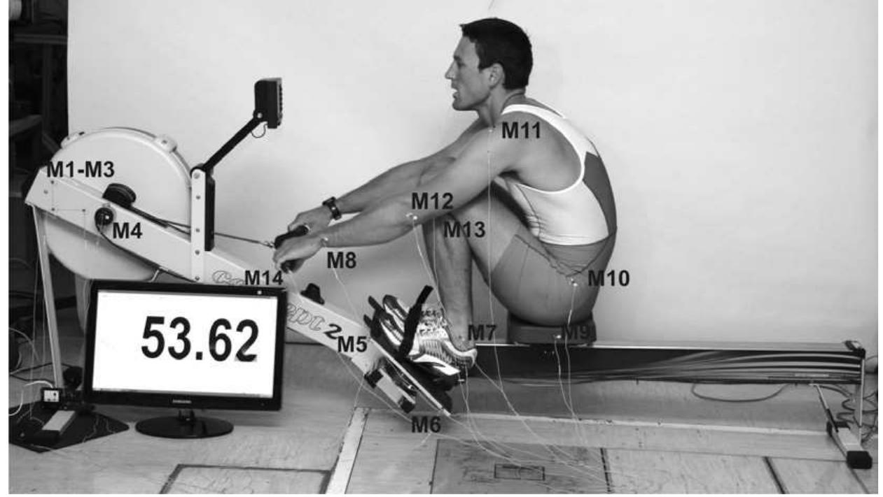 (PDF) The measurement setup for real-time biomechanical analysis of ...