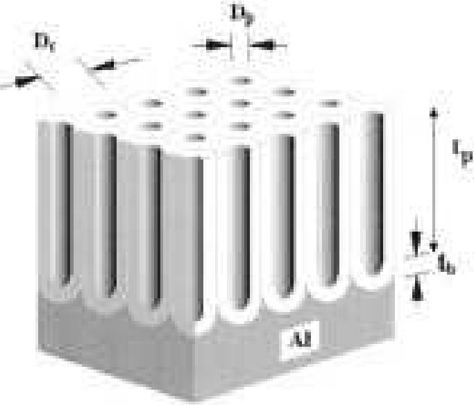 Tem top view of disordered alumite film formed in 15%h, so,