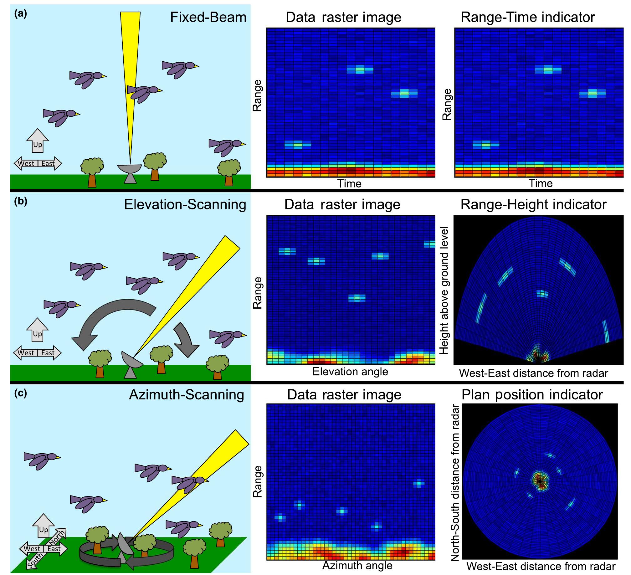 Figure 1 - from An introduction to radar image processing in