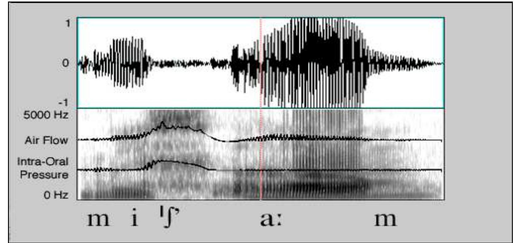 The typical phonetic properties of ejective fricatives found in our study are shown in Figure 1:  For the purposes of this paper, measurements of peak intra-oral pressure, the timing of peak in- tra-oral pressure and peak oral air flow, and total duration of frication were made on multiple  tokens o  f one example each of an ejective /J’/, an /J/ in /Se?/ clusters, and a plain /J/ in a contrastive  environment (between the vowels /i/ and /a/).'° Because both F’ and F? clusters are followed by  an audib of the fo  e hiatus, measurements were taken of the gap between the end of frication and the VOT lowing vowel for the words containing these sounds as well. These measurements show  that on t  hree of the four counts—timing of intra-oral pressure, timing of peak oral air flow, and  duration—the ejective fricatives were distinct from both fricatives in F'’? clusters and from plain fricatives. Ejective fricatives were also shown to be distinct from Fr clusters in terms of the  length of  hiatus preceding VOT. The peak value of intra-oral pressure was found not to be sig-  nificant (in all three segment types peak values ranged between 7 and 9 cm H,0).  This diagram shows the cumulative results of spectral analysis and measurements of airflow and intra-oral pressure for one token of the word mifdm ‘your (mi-) cornhusks (f'am)’. In terms of air flow, the fricative shows a peak 22 ms after the onset of the fricative. The intra-oral pressure also spikes at the beginning of the fricative, but peaks about 10 ms before the peak in air flow (8 cm H,O at 12 ms). The total duration of the fricative is 112 ms (this is the shortest recorded to- ken, the mean duration of ejectives in the sample is 143 ms), and there appears to be very little hiatus (0.5 ms) between the end of frication and the onset of voicing in the following vowel. 