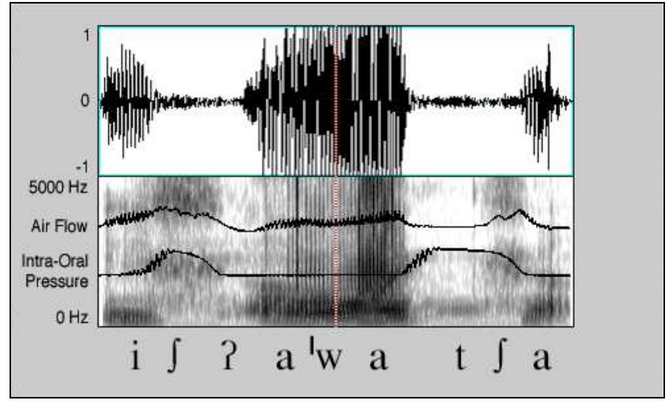 Here we see the air flow peak 16 ms after the beginning of the fricative, considerably sooner than for the ejective. The intra-oral pressure, on the other hand, peaks at a higher level (9 cm H,0) at 28 ms, 12 ms after the peak in air flow. The total duration of the fricative is 90 ms, less than that of the ejective, and it is followed by a hiatus of 4 ms. 