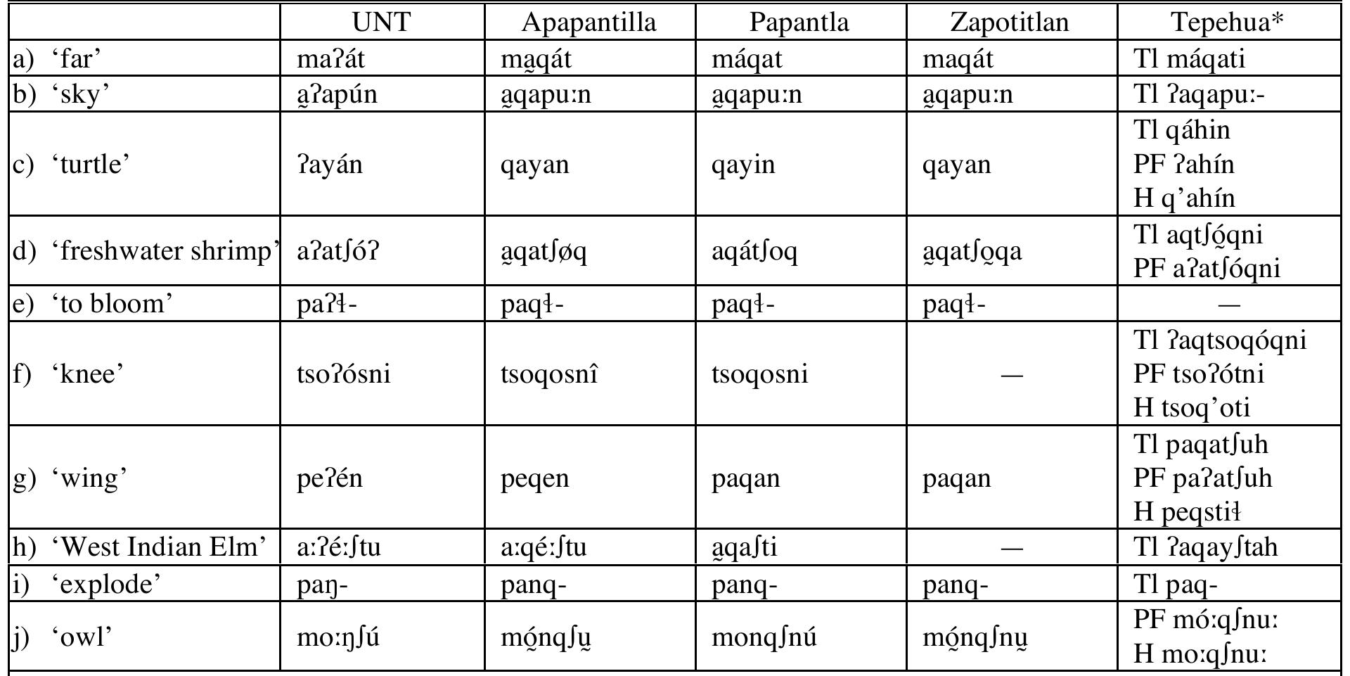 | *T] = Tlachichilco; PF = Pisa Flores; H = Huehuetla |  /2/, as in le:?amén ‘toy’ (from Ti:- ‘INSTRUMENT’ + ?amd.n ‘to play with/at’).° Lowering of /i/ and /o/ by /q/ is attested in other Totonacan languages, although /e/ and /o/ are treated as allo- phones of /i/ and /u/ in Papantla (Levy 1987), Coatepec (McQuown 1990), and Misantla (MacKay 1999). In Apapantilla, on the other hand, Reid (1991) treats /e/ and /o/ as phonemic, and the same seems to be appropriate—at least impressionistically—in other languages of the Northern Sierra, more potential evidence for the proposed Northern grouping of Totonacan lan- guages (see fn. 3 above). Most occurrences of the mid-vowels in UNT do seem to have their ori- gins in lowering processes triggered by /?/ or by the velar fricative /x/, though there are a number of words (e.g. tsewani ‘pretty’) where it seems to be necessary to treat /e/ and (to a lesser extent) /o/ as phonemes in their own right.   Table 3. Cognates of Upper Necaxa /'?/ 