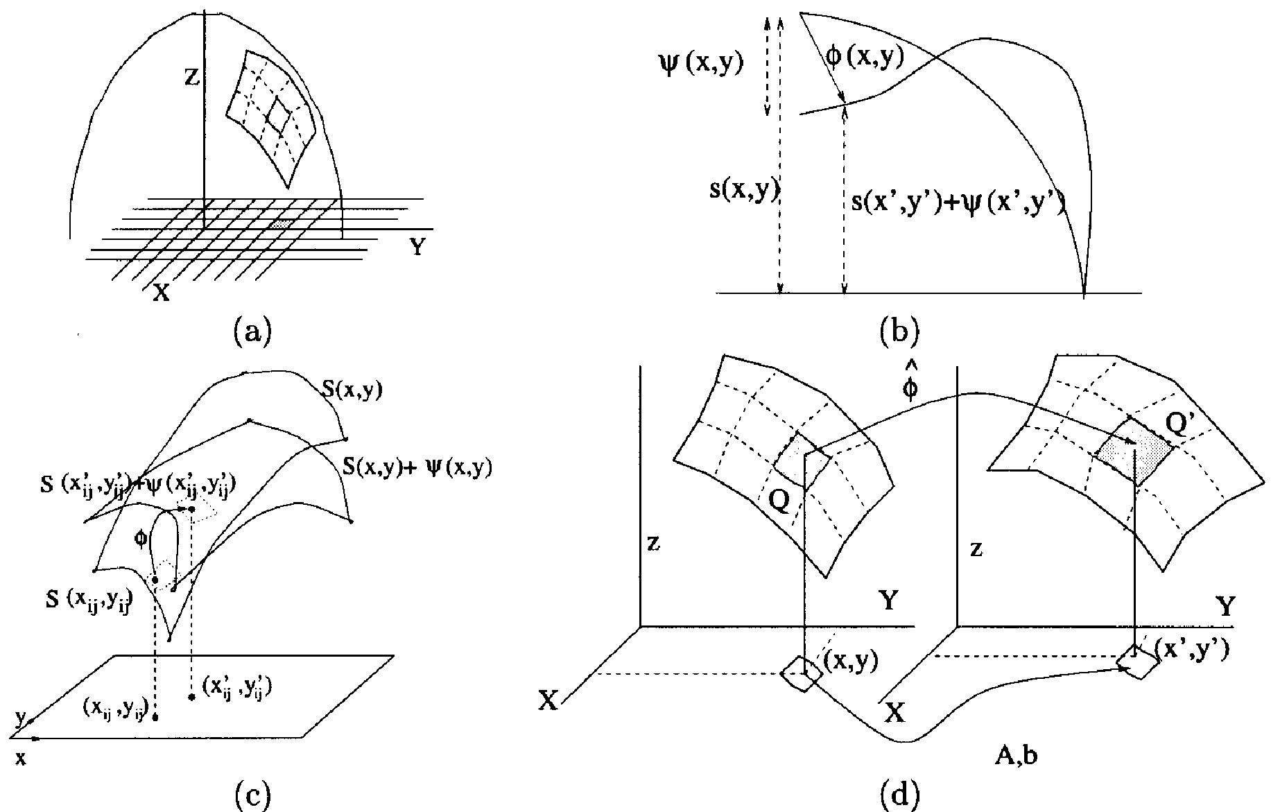 (a) extrinsic representation of the membrane as a surface in