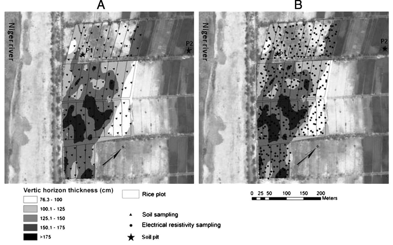 Maps of (a) 140 soil sampling points and (b) 423 geophysical
