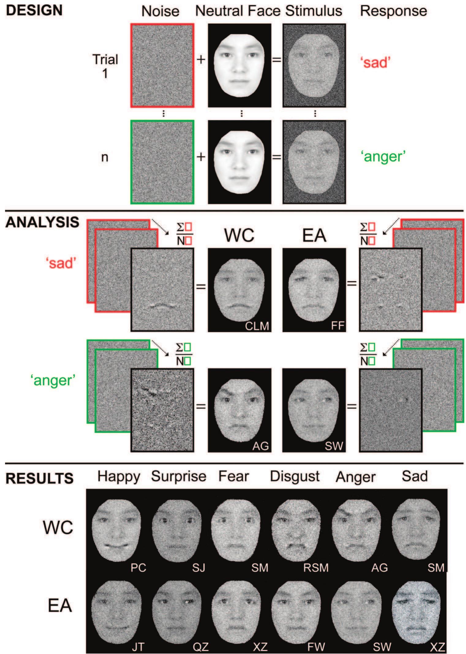Internal Rage Expression Illustration of the reverse correlation (rc) technique used