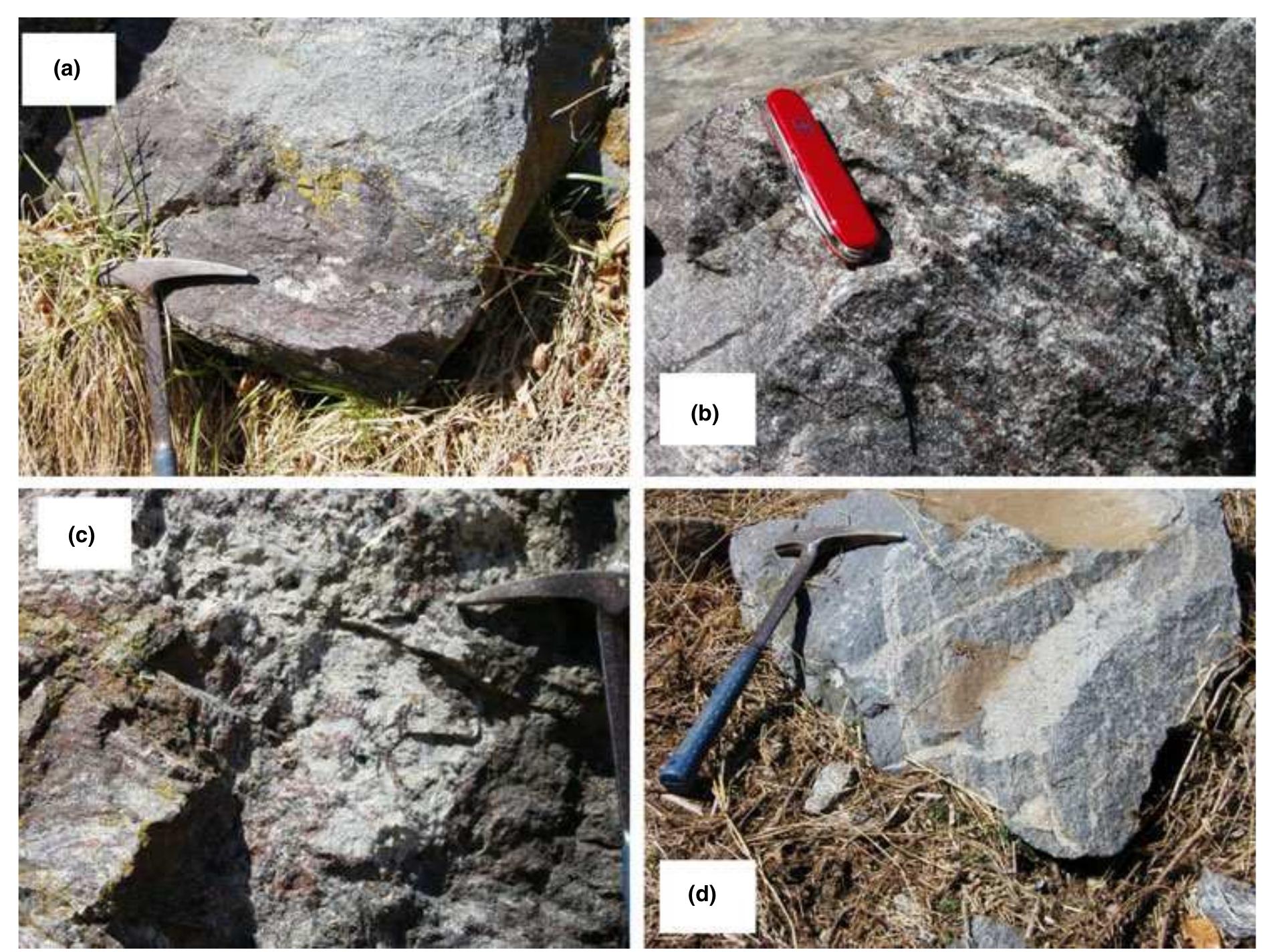 (PDF) P-T-t evolution of granulite facies metamorphism and partial ...