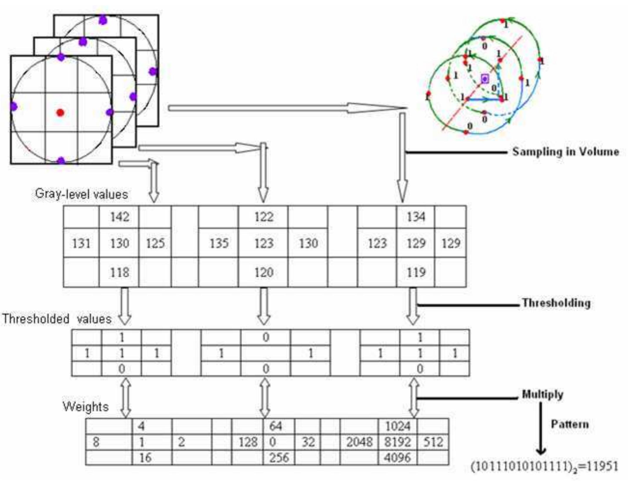 (PDF) Dynamic Texture Recognition Using Local Binary Patterns with an ...
