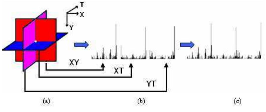 (PDF) Dynamic Texture Recognition Using Local Binary Patterns with an ...