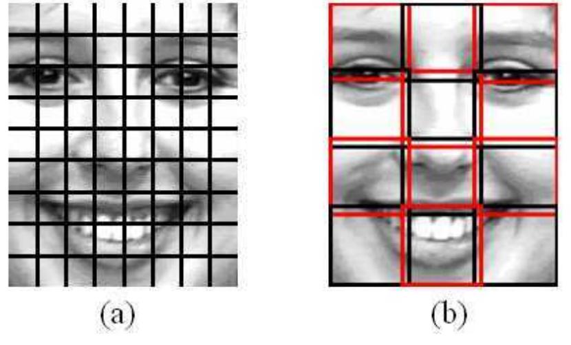 (PDF) Dynamic Texture Recognition Using Local Binary Patterns with an ...