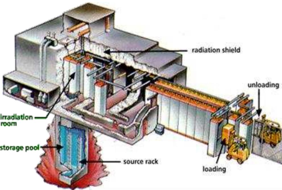 (PDF) Radiation Processing of Meat and Meat Products – An Overview