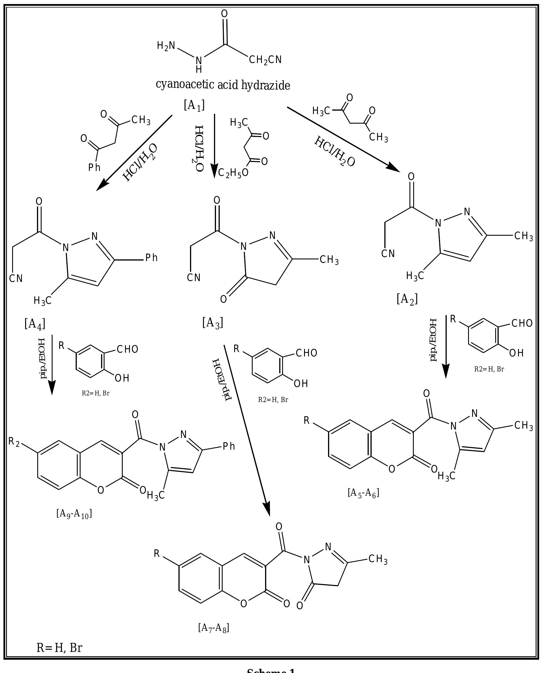 (PDF) SYNTHESIS AND CHARACTERIZATION OF NEW COUMARIN DERIVATIVES FROM ...