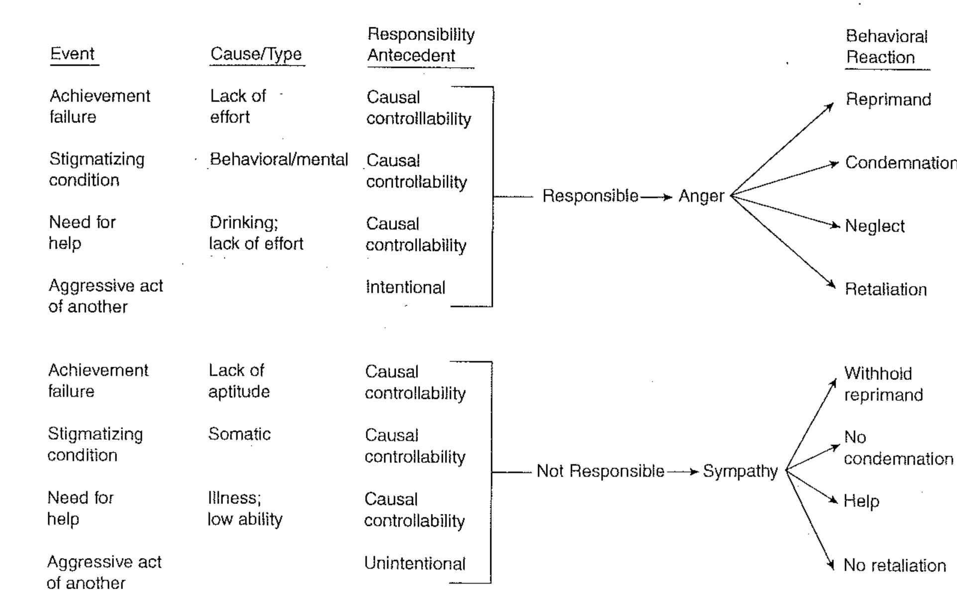 (PDF) Motivation from an attribution perspective and the social ...