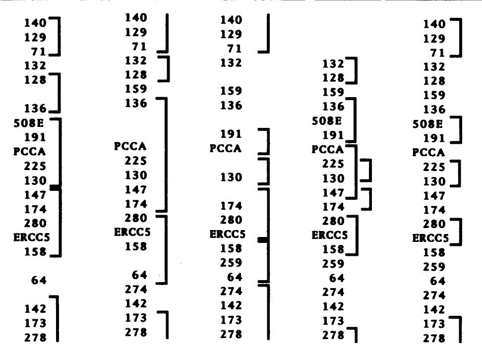 1,_deletion map 2, genetic map 3. rad. hybrid map 4, yac map