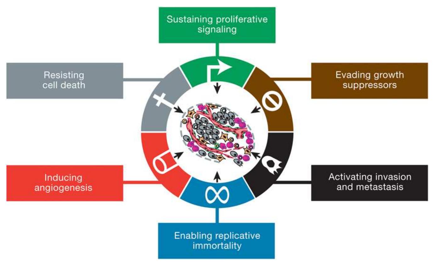 Figure 1 - from Hallmarks of Cancer: The Next Generation