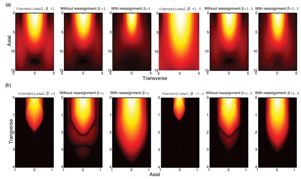 (a) comparison of the transverse and axial psfs for a