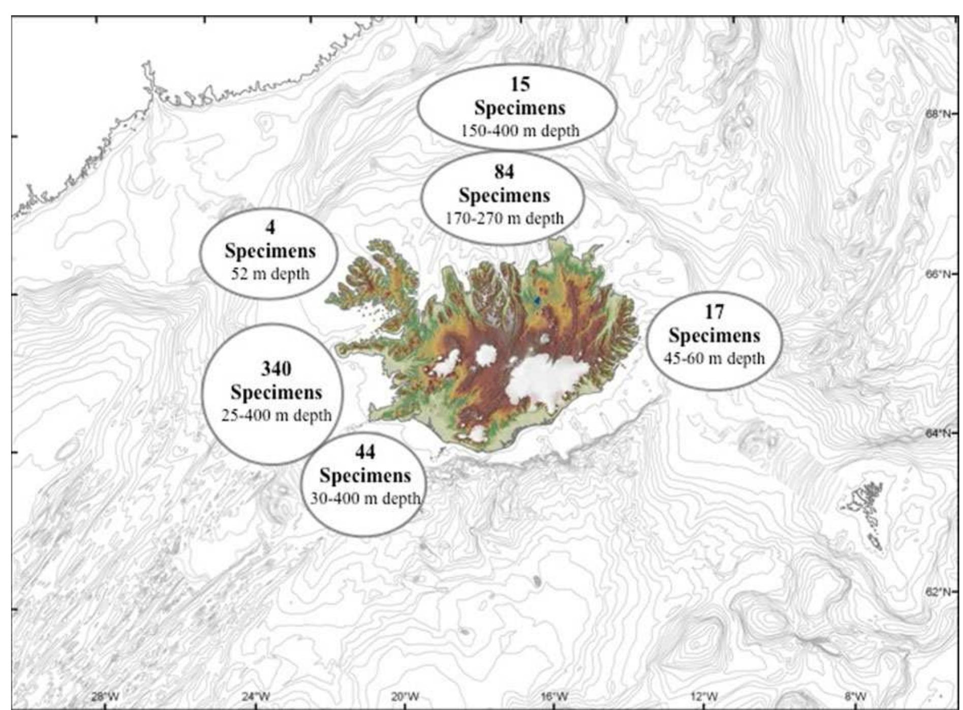 Figure 8 - from Biodiversity of benthic invertebrates and