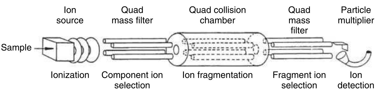 Schematic of a triple quadrupole mass spectrometer (tqms)