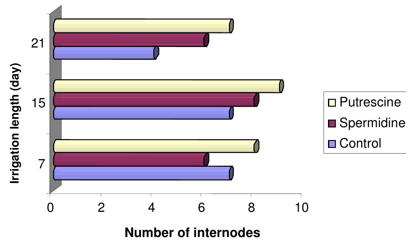 m_style Sneakers Vans Style 36 Womens VANS Style 36 Women's Genuine