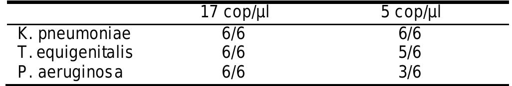 Table 8 - from P-3-01 MULTIPLEX REAL TIME PCR FOR THE
