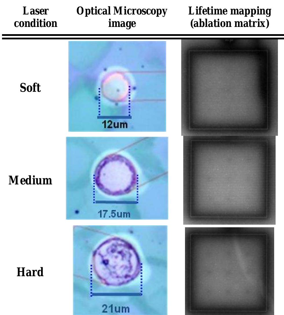 Figure 2 - from Laser ablation of SiO2/SiNx and AlOx/SiNx