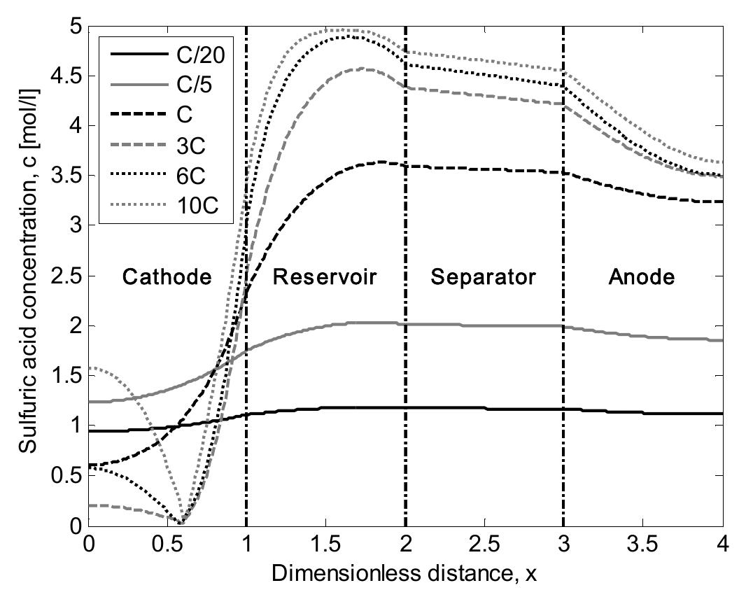 Simulated acid concentration profiles in the cell for
