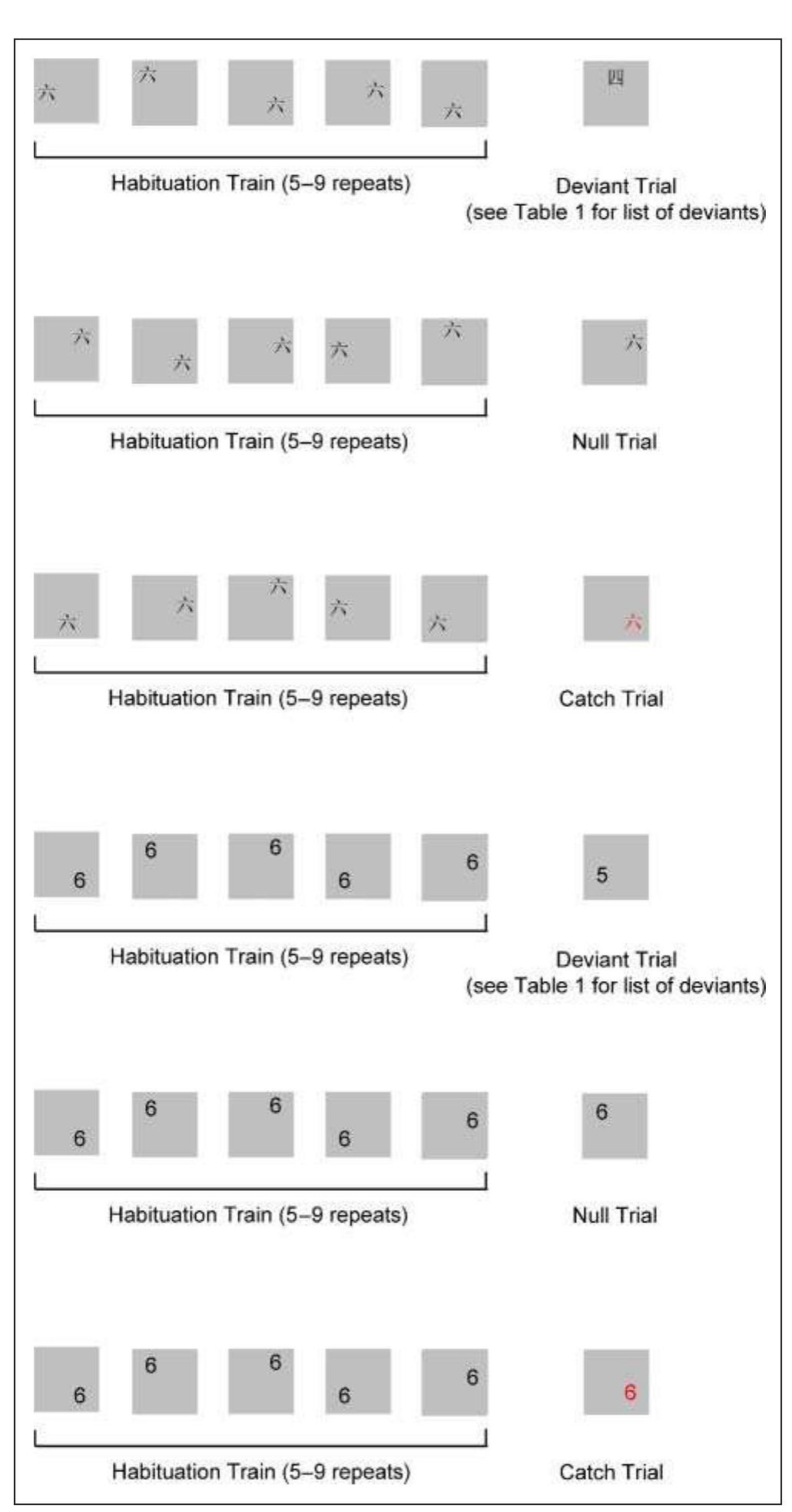 Overlayed activations in the left fg from three of our