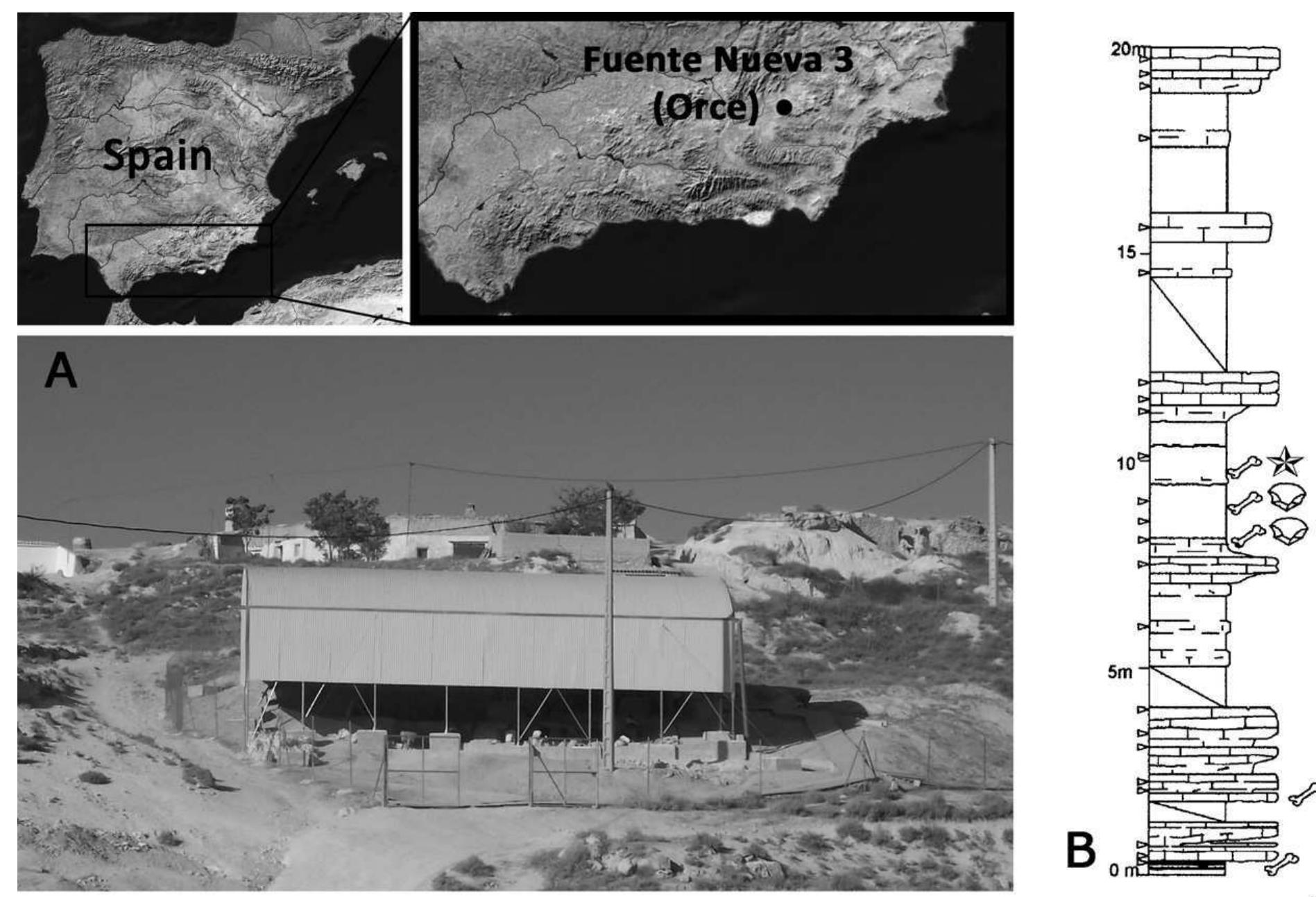 Onee Position Geographique A. geographic location and external view of the fuente nueva