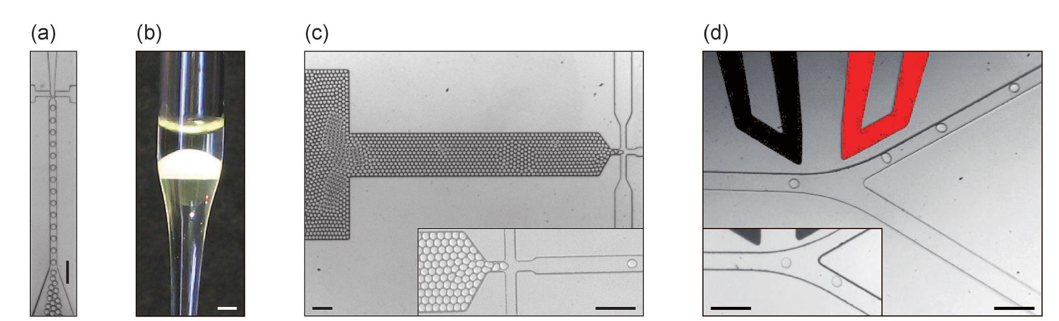 Figure 2 - from Fluorescence-activated droplet sorting