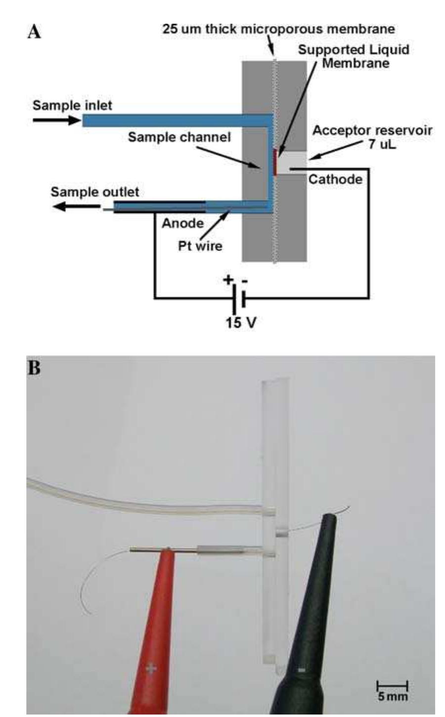 Figure 2 - from On-chip electro membrane extraction
