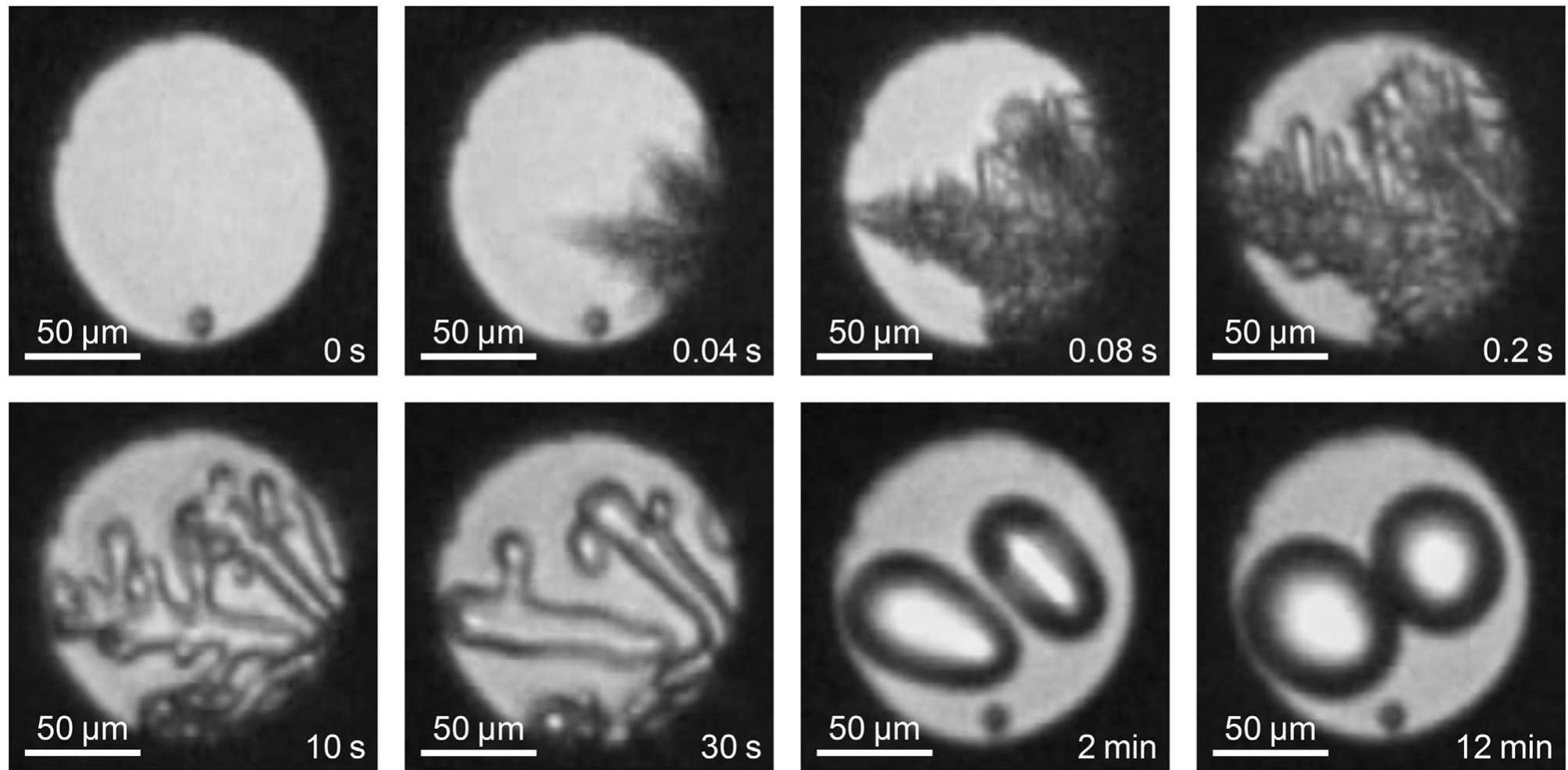 Snapshots before and after the phase separation of a sfs—he