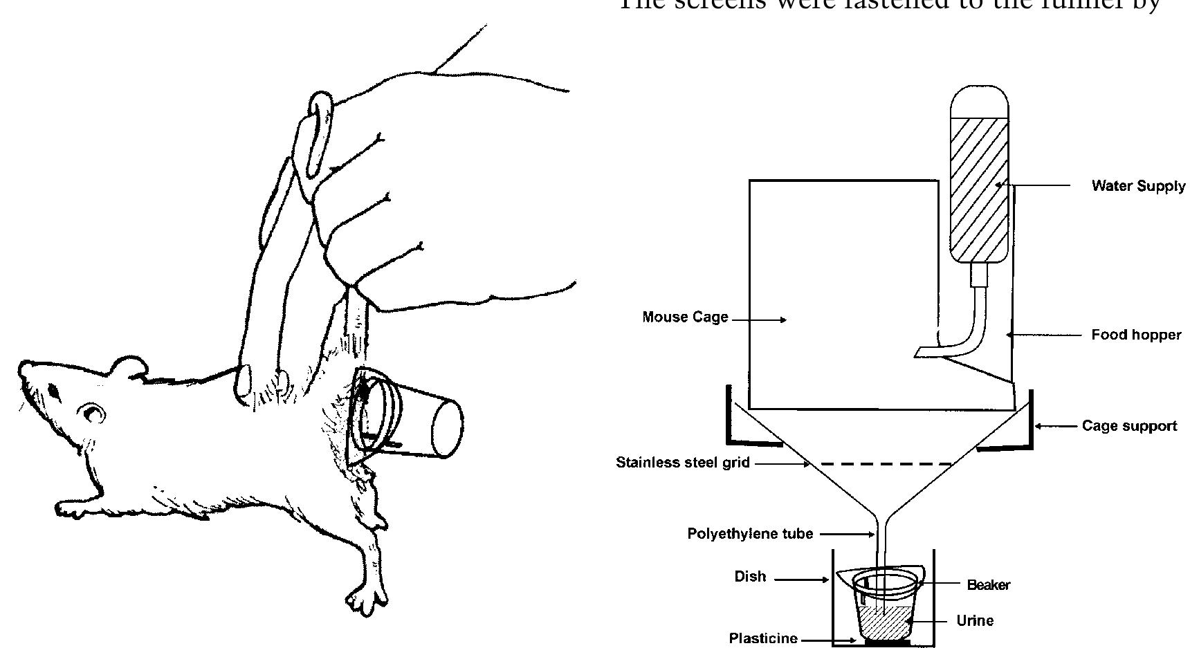 (PDF) Experimental animal urine collection: a review