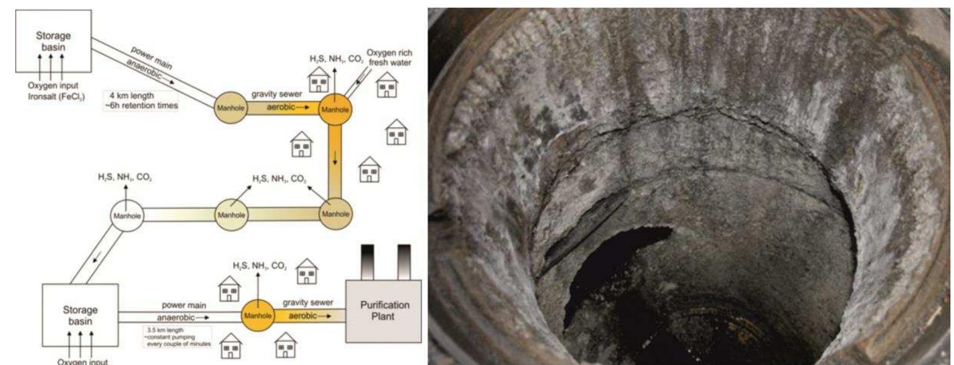 Figure 6 - from CONCRETE DETERIORATION FROM PYRITE STAINING,
