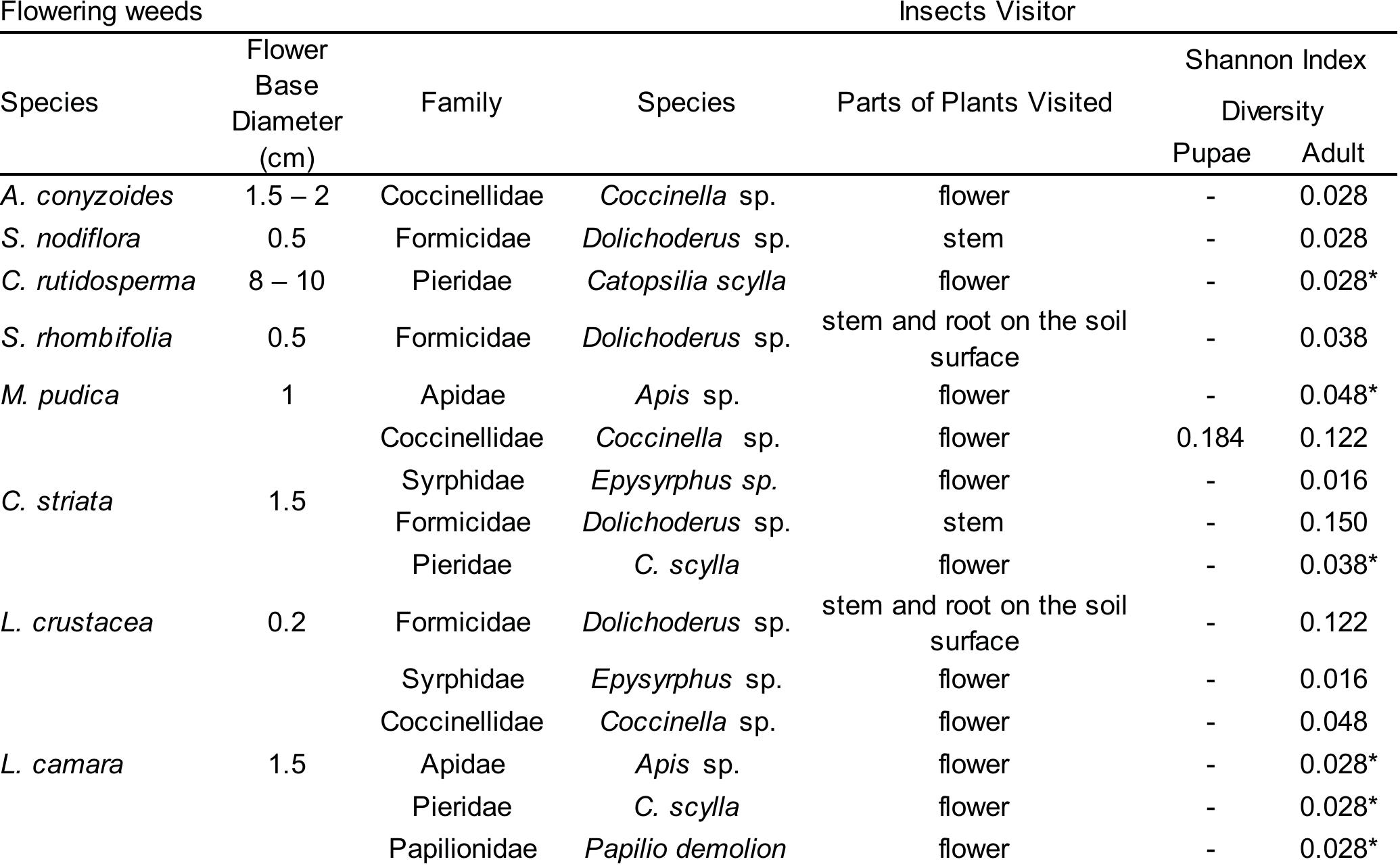 Amir Insect (PDF) The Potential of Flowering Weeds as Refugia for Predatory Insects ...