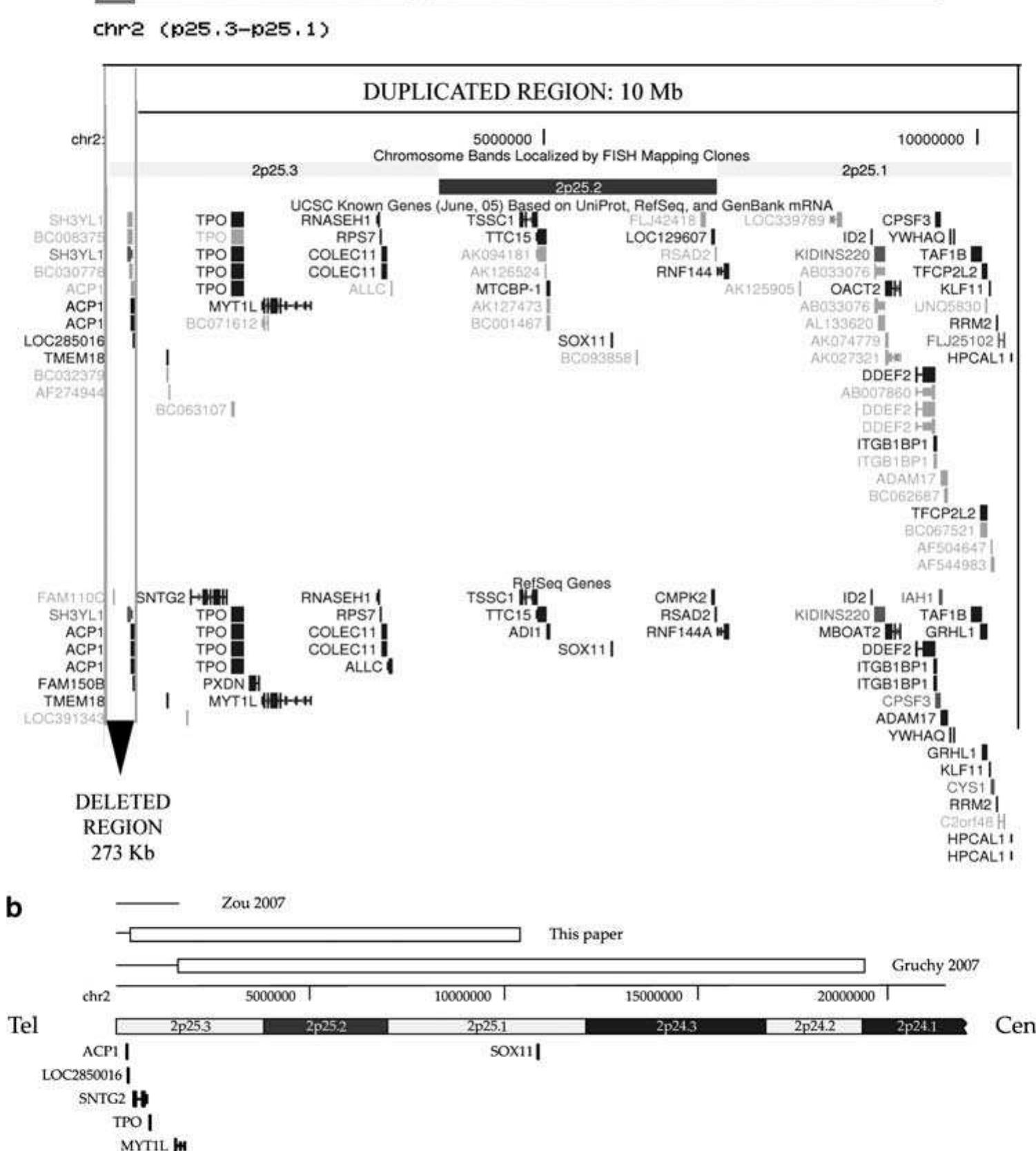 (PDF) A familial inverted duplication/deletion of 2p25.1–25.3 provides ...