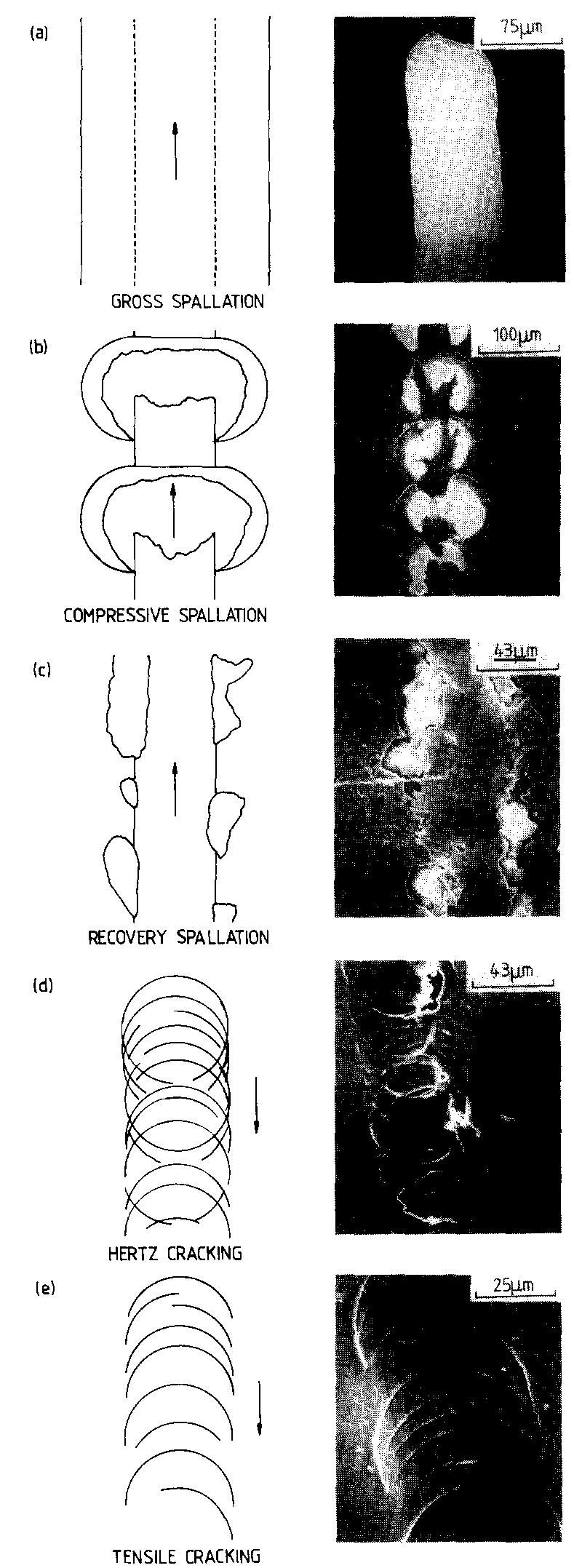 Brittle failure modes in scratch testing: (a) gross